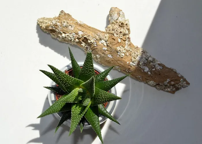 Appartamento Solgard - Licht Ueber Den Daechern Toennings Tönning